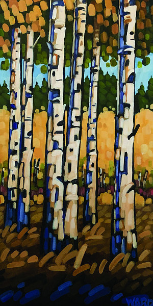 Darrell Ward - Autumn Aurora