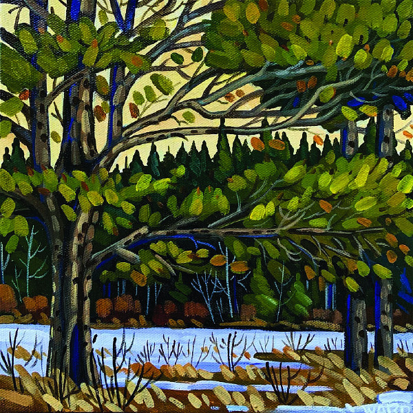 Darrell Ward - Old Pines