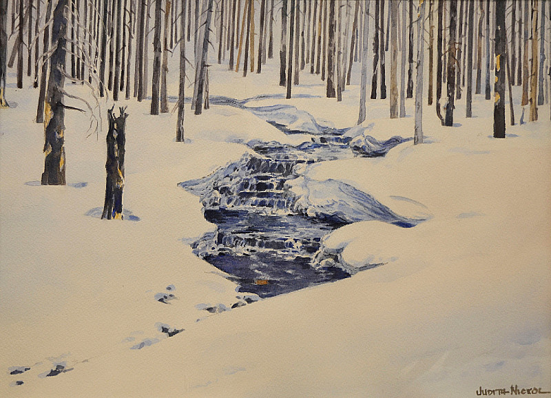 Judith Nickol - Cameron Creek - 11 x 15in watercolour