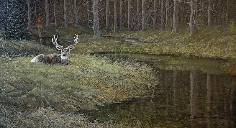 Louis Brandsma - waterton valley