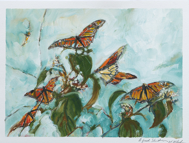 Michelle Austen - A Fresh Start