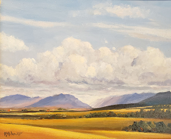 Pieter Molenaar - Sun Kissed Fields - 8 x 10in oil