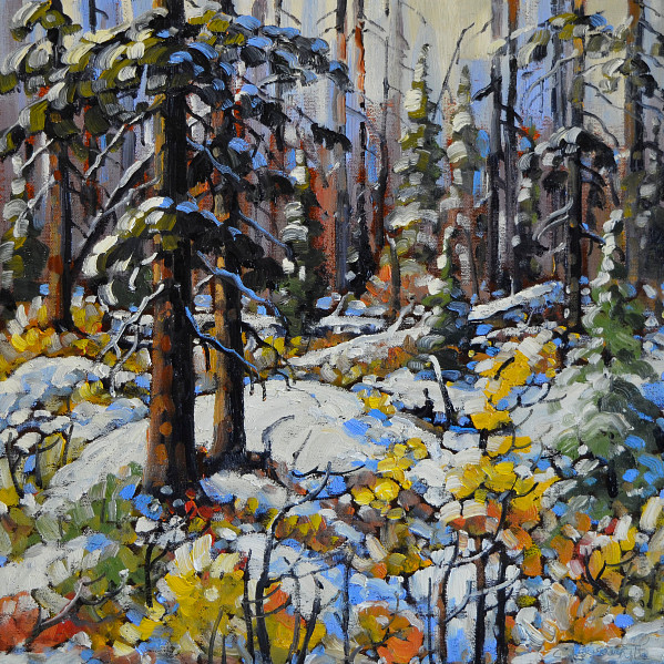 Rod Charlesworth - Woods Near Cameron Lake - 16 x 16in oil on canvas