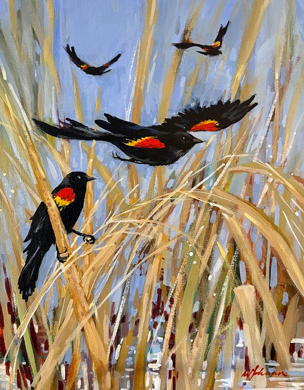 Wendy Johnsen - red winged blackbirds