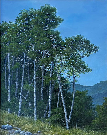 Chris Murfitt - Aspen Woods - 22 x 26in