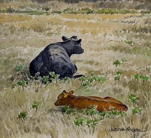 Judith Nickol - black and brown cows - in watercolour