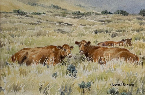 Judith Nickol - brown cows - in watercolour