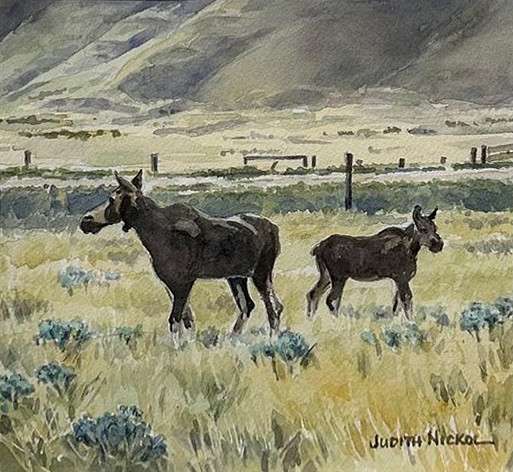 Judith Nickol - moose - in watercolour