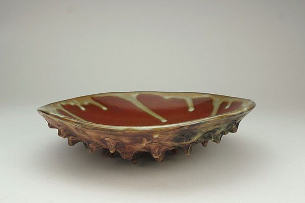 Tanya Doody - red brown shell