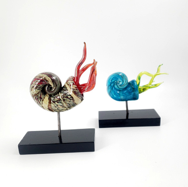 Tyler Rock - Ammonites - glass